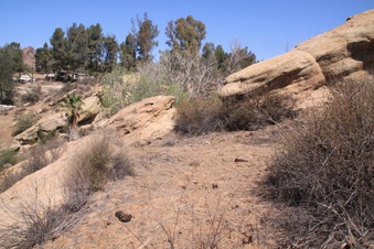 Enlarge photo 29