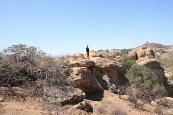 Enlarge photo 11