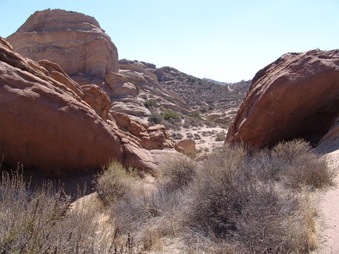 Enlarge photo 24