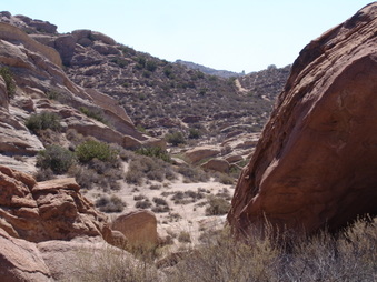 Enlarge photo 25
