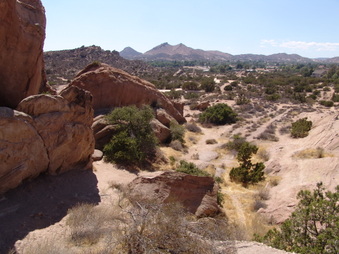 Enlarge photo 35