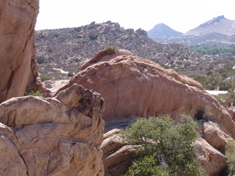 Enlarge photo 36