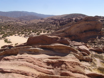 Enlarge photo 40