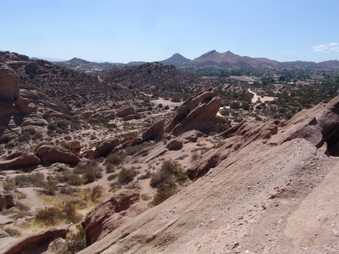 Enlarge photo 41