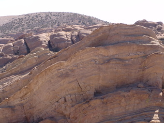 Enlarge photo 45