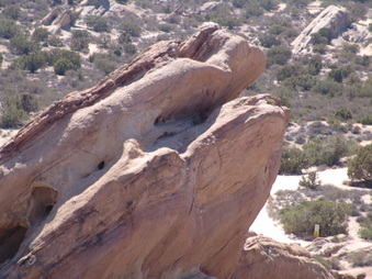 Enlarge photo 48