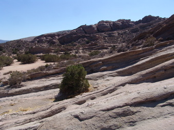 Enlarge photo 72