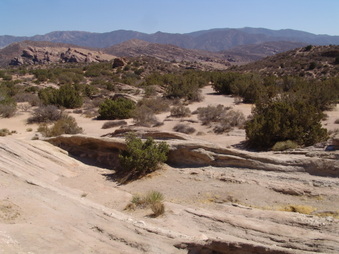 Enlarge photo 73
