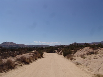 Enlarge photo 81