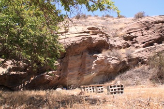 Enlarge photo 1