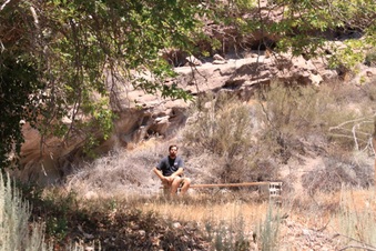 Enlarge photo 8