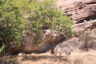 Enlarge photo 10