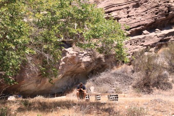 Enlarge photo 13