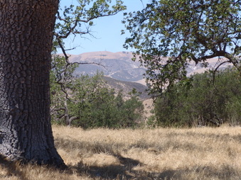 Enlarge photo 17