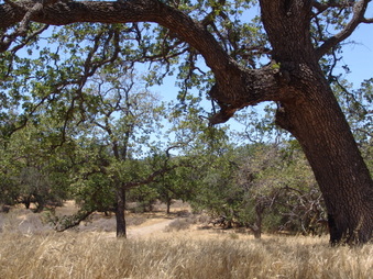 Enlarge photo 26