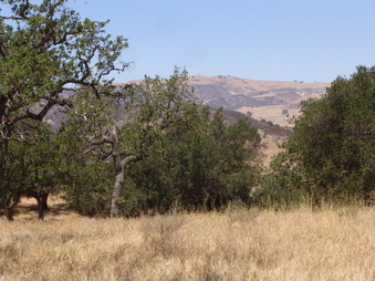 Enlarge photo 27