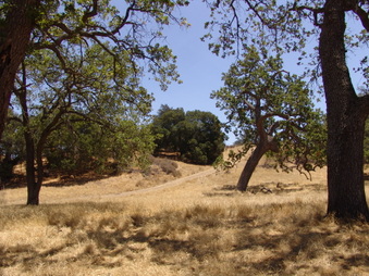 Enlarge photo 28
