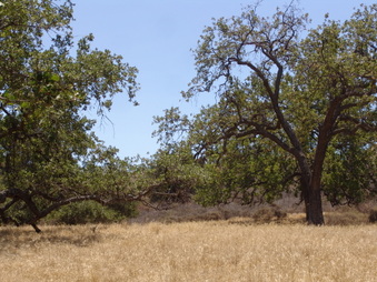 Enlarge photo 31