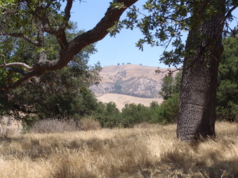 Enlarge photo 32