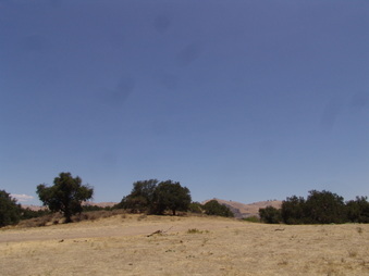 Enlarge photo 1