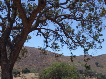 Enlarge photo 22