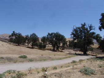 Enlarge photo 1