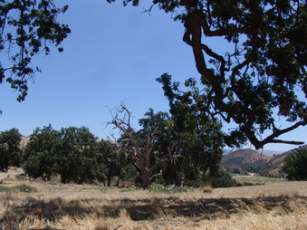 Enlarge photo 17