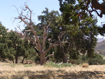Enlarge photo 18