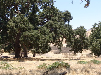 Enlarge photo 19