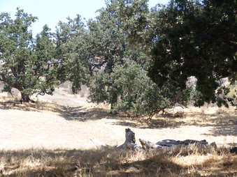 Enlarge photo 23