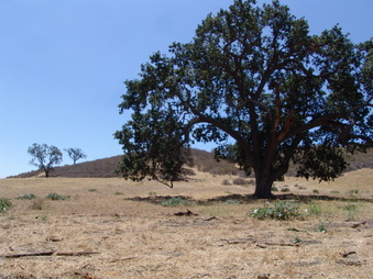 Enlarge photo 25