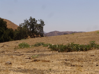 Enlarge photo 27