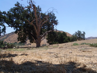 Enlarge photo 28