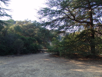 Enlarge photo 1