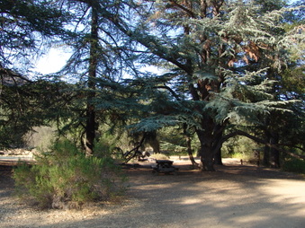 AREA 1