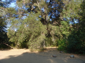 Enlarge photo 3