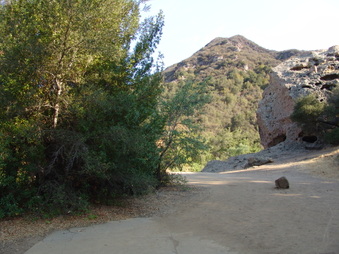 Enlarge photo 4