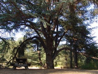 Enlarge photo 6