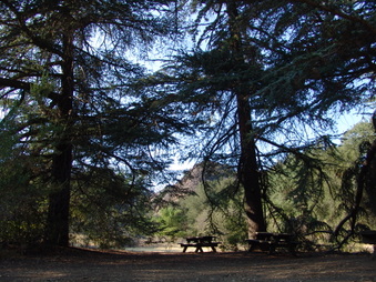 Enlarge photo 7