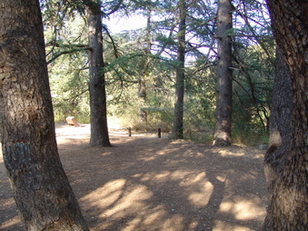Enlarge photo 10