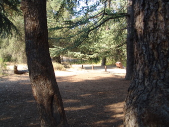 Enlarge photo 11