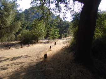 Enlarge photo 14