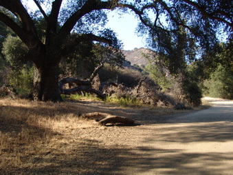Enlarge photo 16