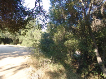 Enlarge photo 17