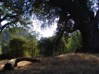 Enlarge photo 19