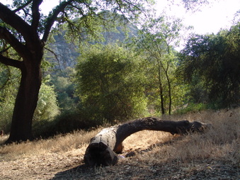 Enlarge photo 21
