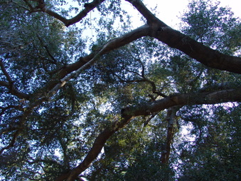 Enlarge photo 26