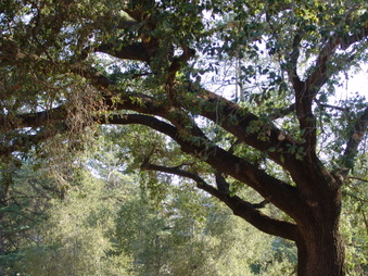 Enlarge photo 25