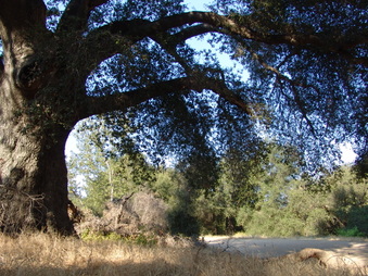 Enlarge photo 23