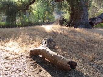 Enlarge photo 28